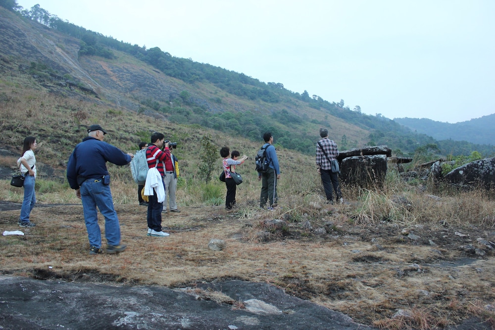 Spice Tree Munnar 44/50