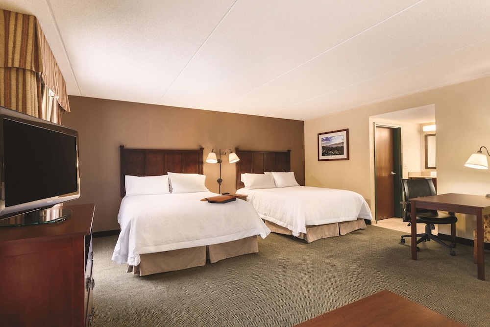 Hampton Inn Suites Lake George 19/61