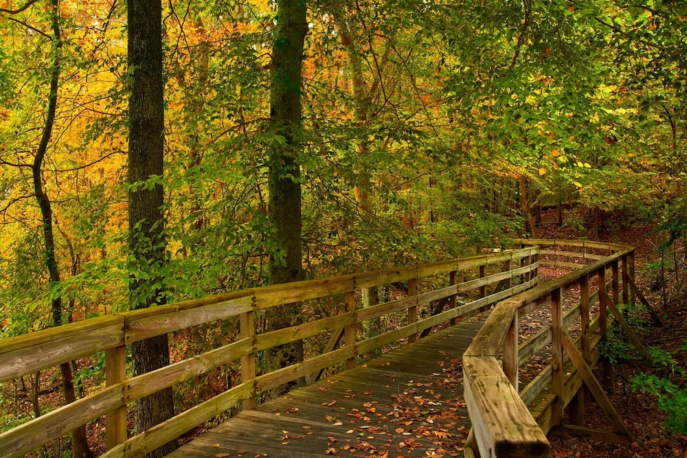 Atlanta Evergreen Lakeside Resort 22/50
