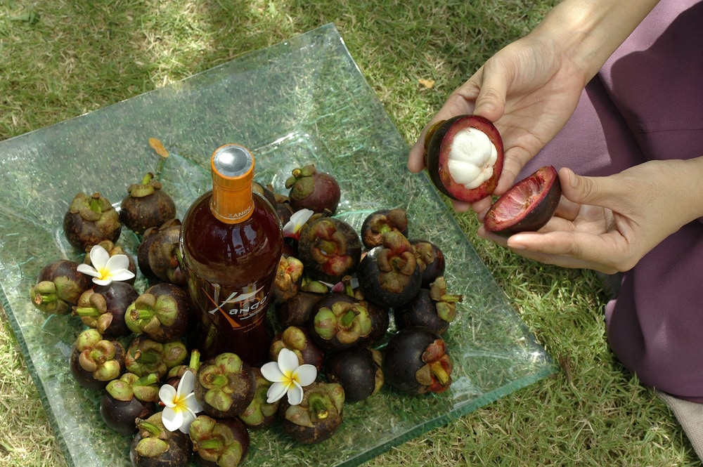 Mangosteen Resort And Ayurveda Spa Formely Golden Tulip Mangosteen Resort And Spa 74/77