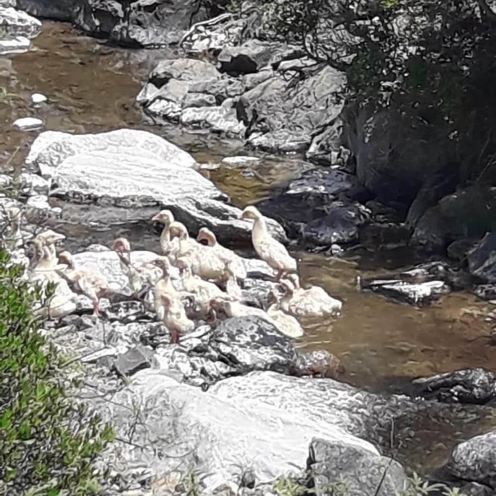 Durusu Ciftlik Evleri 30/34