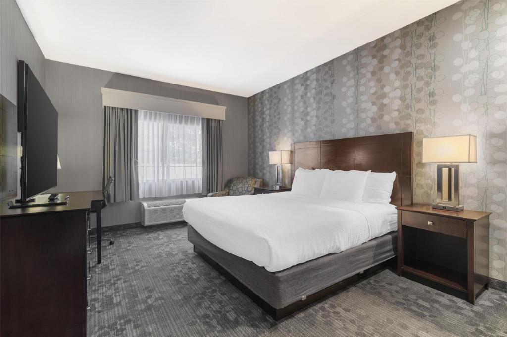 Mini, Queen Bed, Accessible