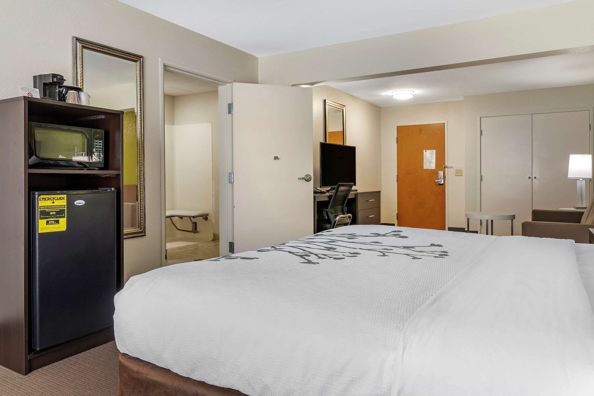 ROOM, KING BED, ACCESSIBLE