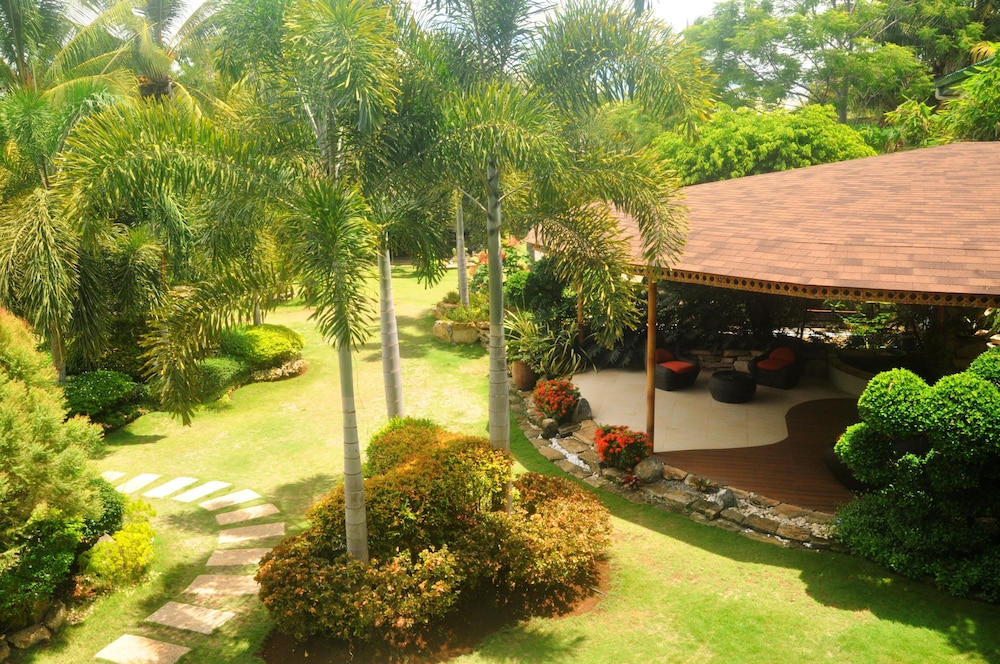 Alona Golden Palm Resort 24/47