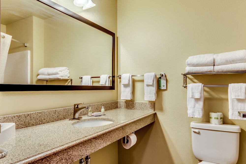 Cobblestone Inn Amp Suites Waverly 21/61