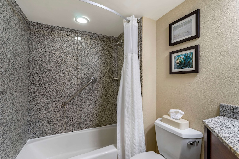 Comfort Inn & Suites St. Pete - Clearwater International Airport 8/41
