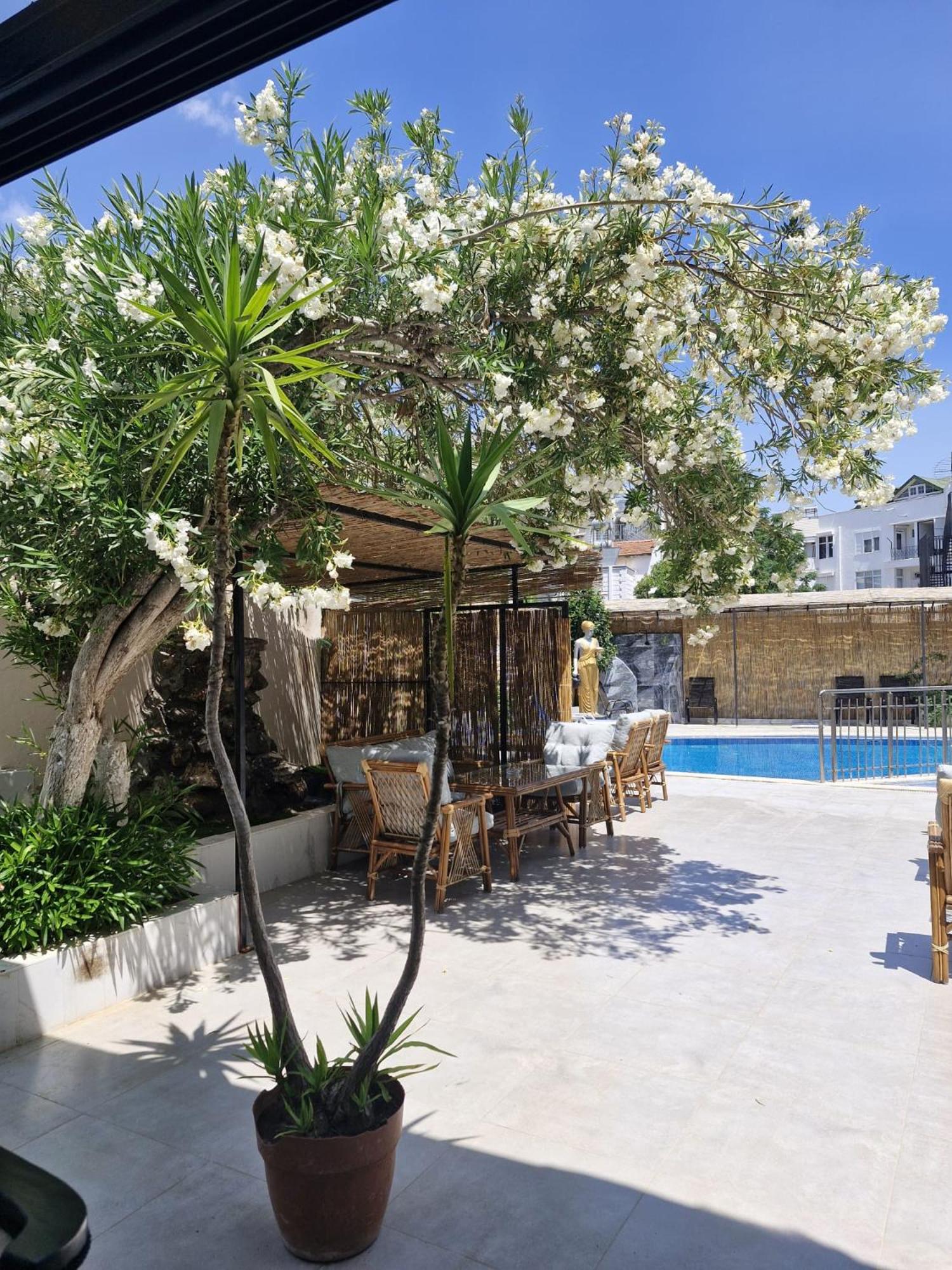 Arikan Park Hotel 45/50