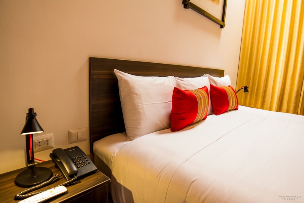 Hotel San Pedro Plaza 18/65