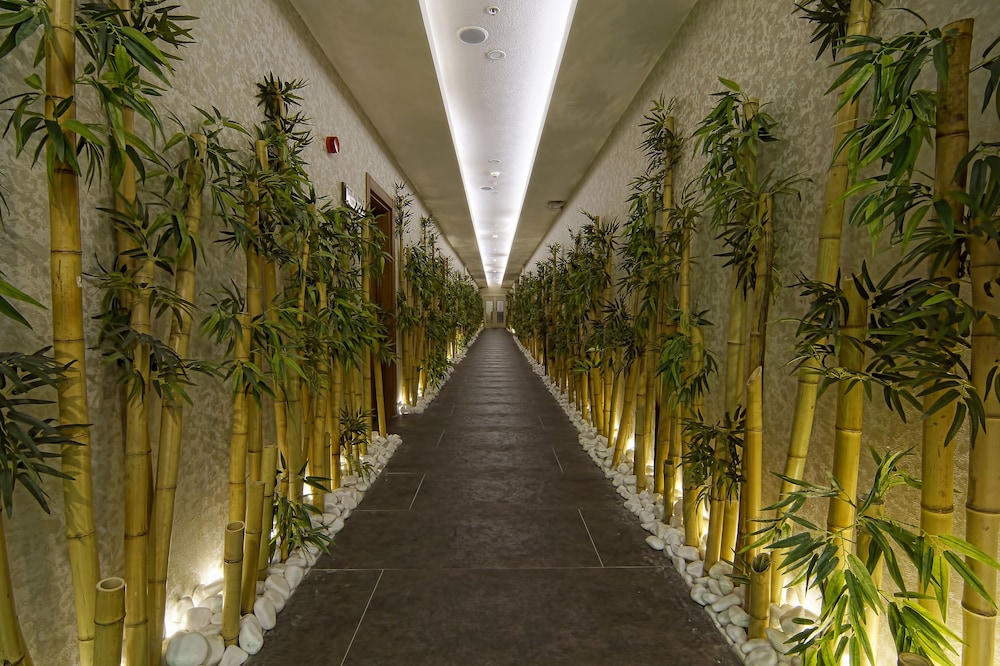 Cam Thermal Resort Spa Convention Center 50/54