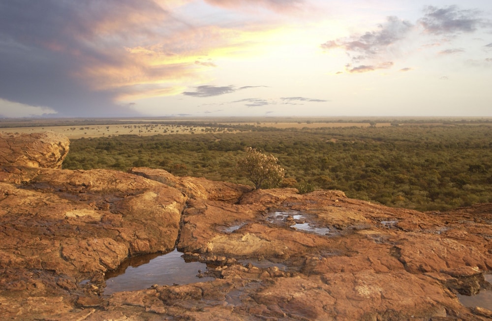 Zwahili Private Game Lodge and Spa 28/42