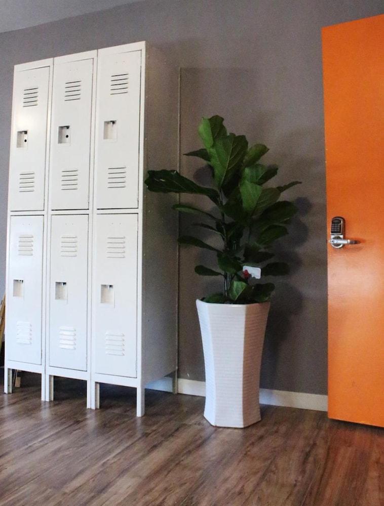 Melrose Hostel 2/48