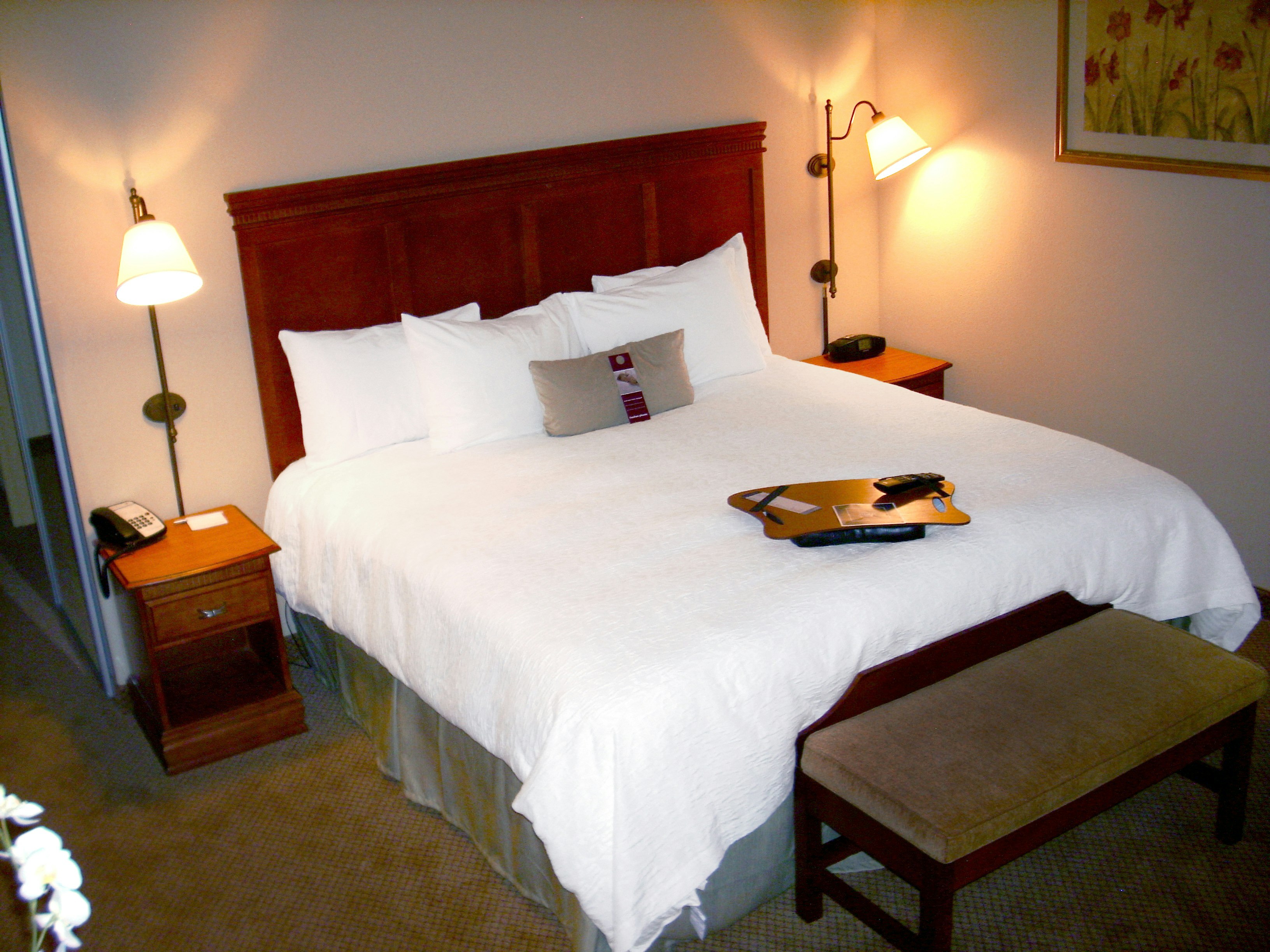 Hampton Inn Greenville 15/25