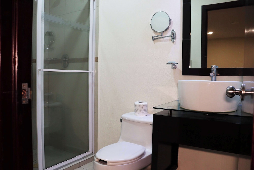 Wyndham Garden Aguascalientes Hotel and Casino 43/50