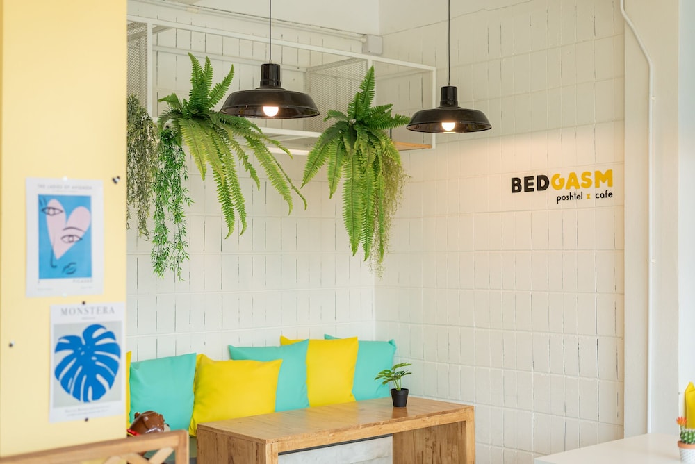 Bedgasm Poshtel X Café At Nimman 9/62