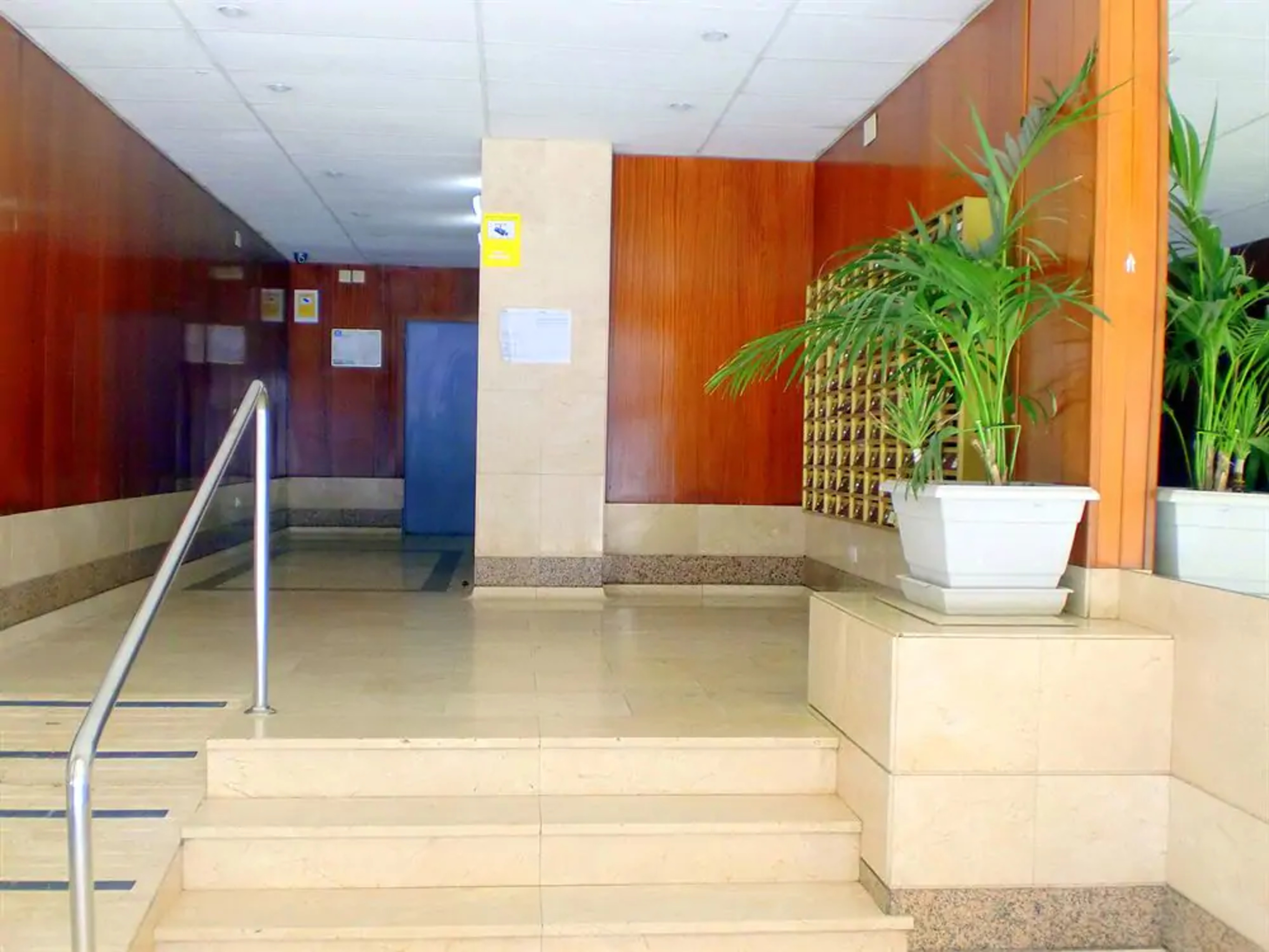 Arquus Rentalmar 写真4