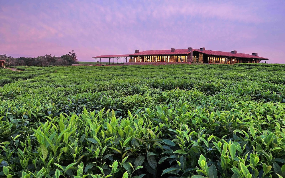 Nyungwe Tea Forest Resort 65/71