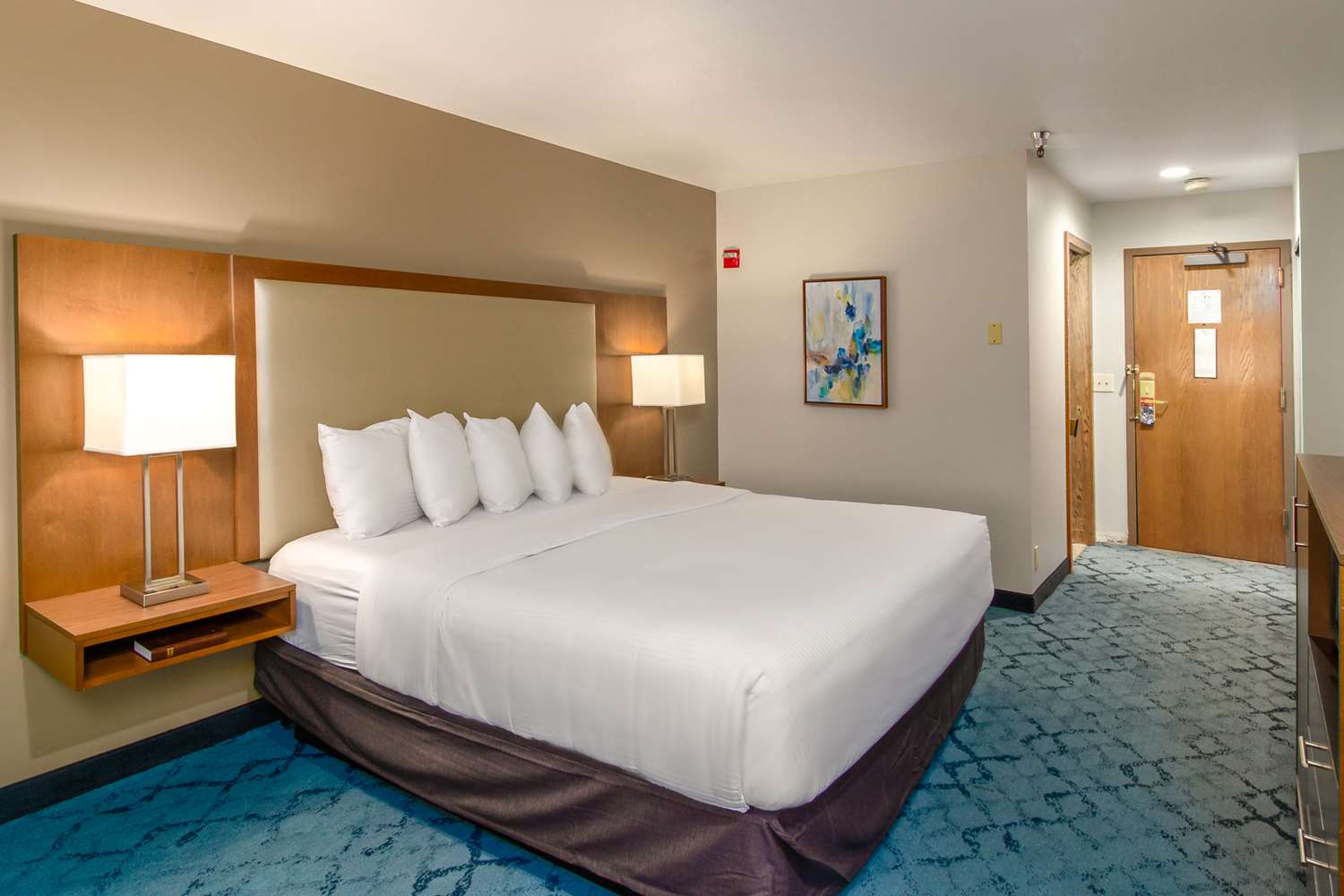 Room, King Bed