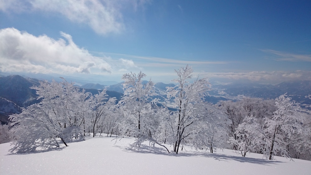 Nozawa Dream 28/28