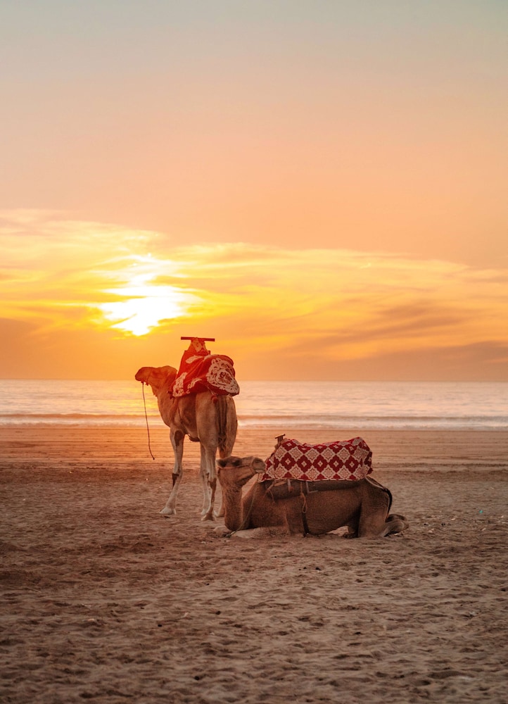 Radisson Blu Resort Taghazout Bay Surf Village 48/50