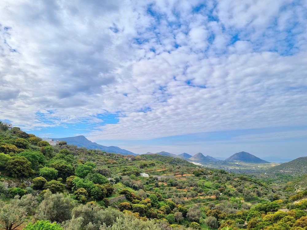 Elaiolithos Luxury Retreat Naxos 22/24