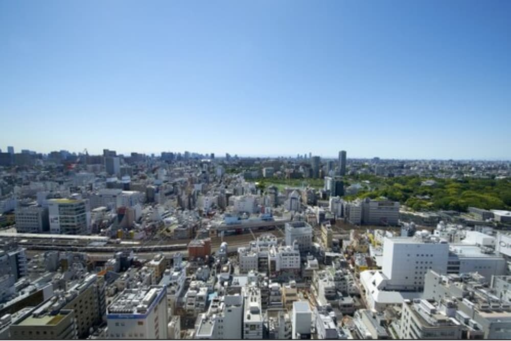 HOTEL Crown Hills Ueno Premier (ex Life Tree Ueno) 52/56
