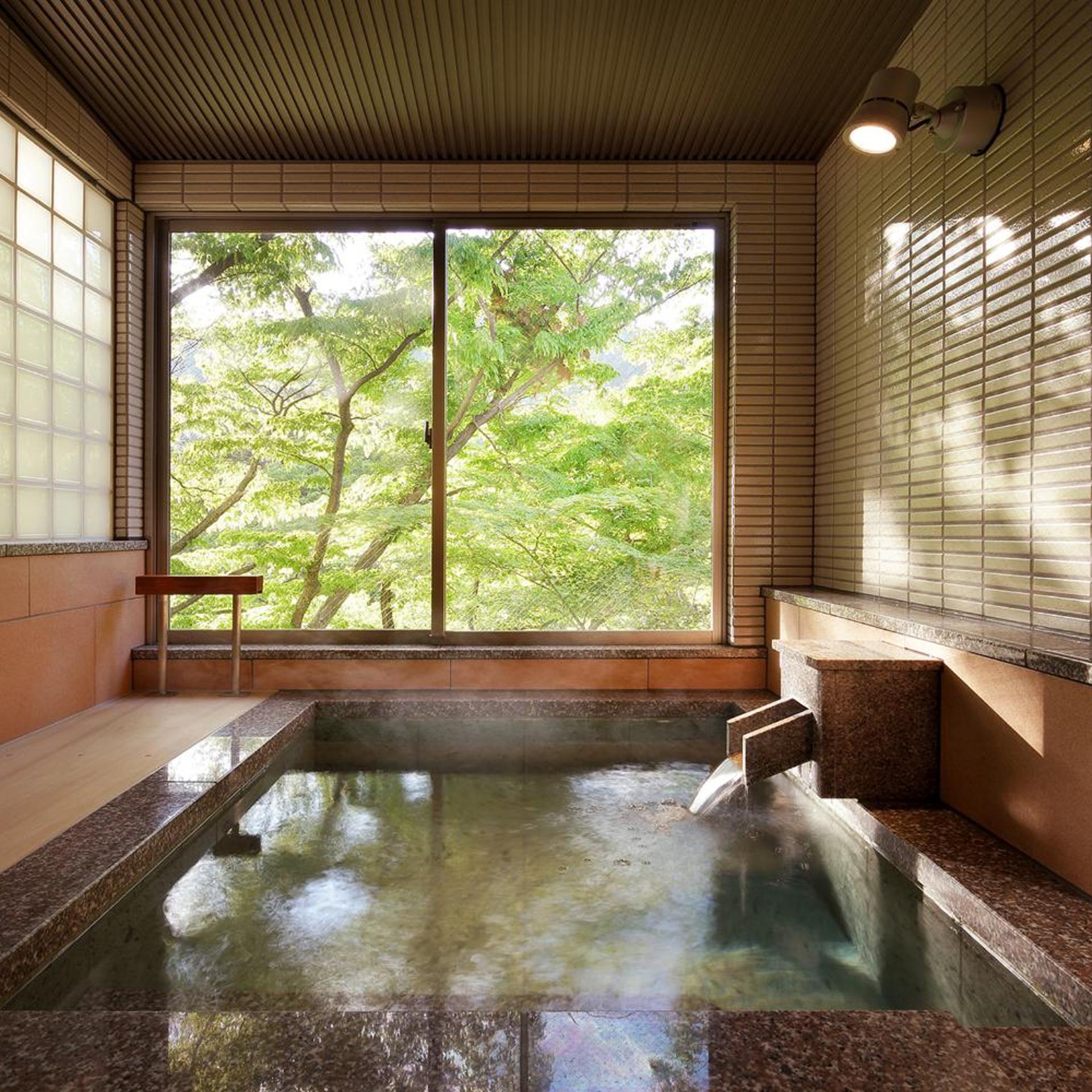 Tanigawa Hotel Nanaeyae 23/49