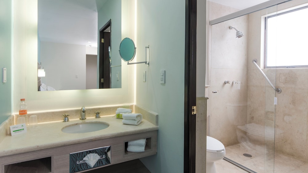 Holiday Inn Suites Mexico Zona Reforma An Ihg Hotel 48/50