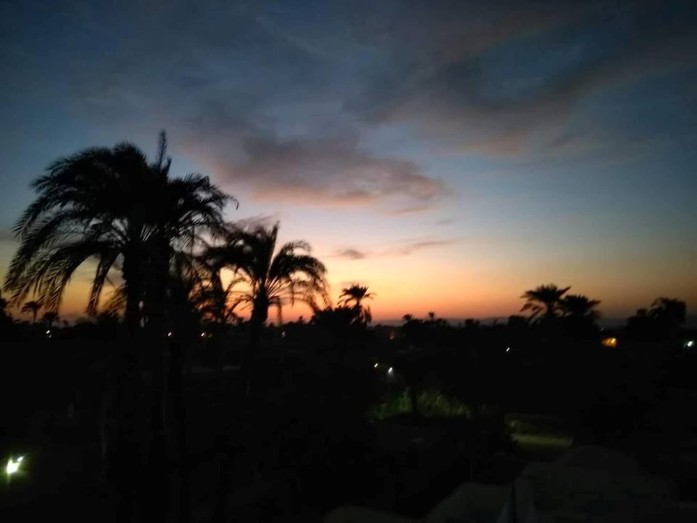 Nile Compound Hotel 43/50