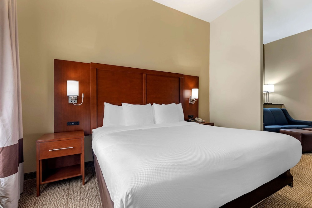 Comfort Suites West Dallas Cockrell Hill 11/35