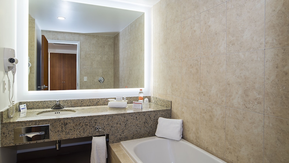 Holiday Inn Express Puebla 13/61