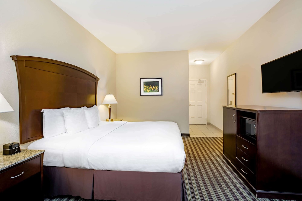 La Quinta Inn & Suites by Wyndham Fowler 19/61