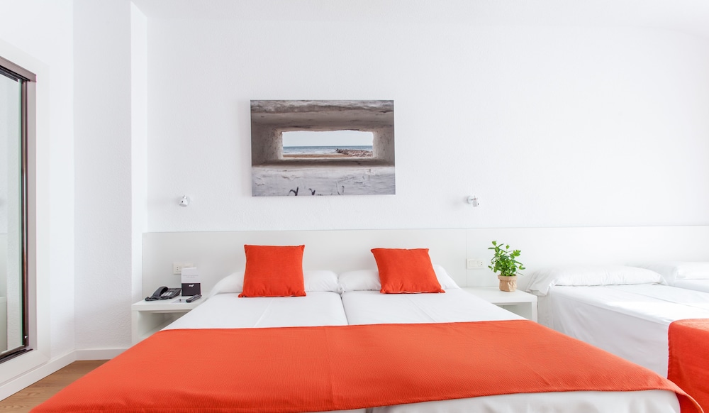 Intelier Orange 21/56