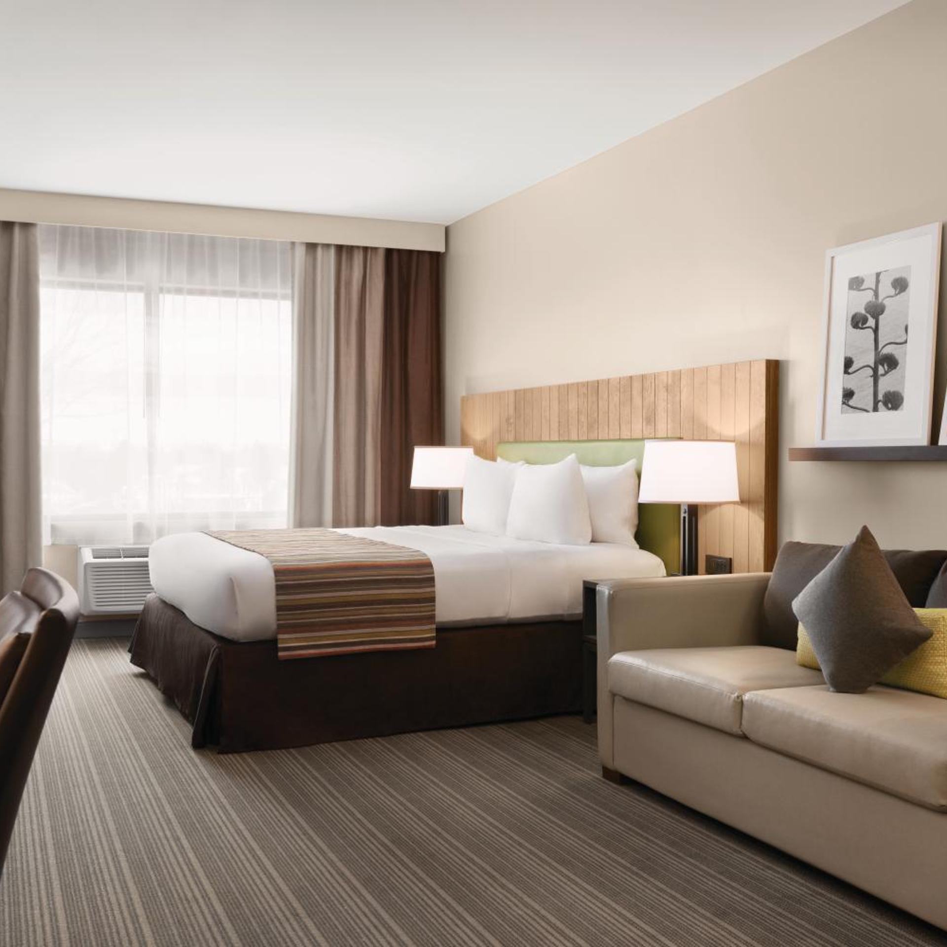 Open Plan, Suite, King Bed, Sofa