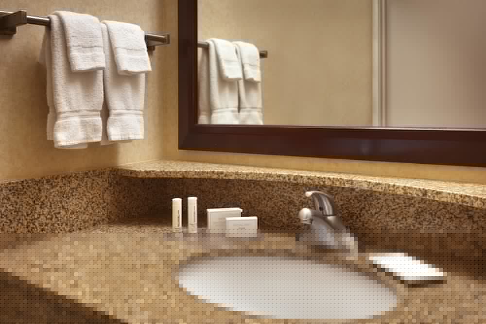 盐湖城市中心万豪春季山丘套房酒店(SpringHill Suites Salt Lake City Downtown) 图片2