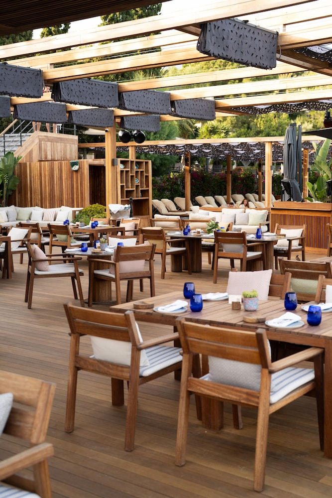 No:81 Hotel 25/50