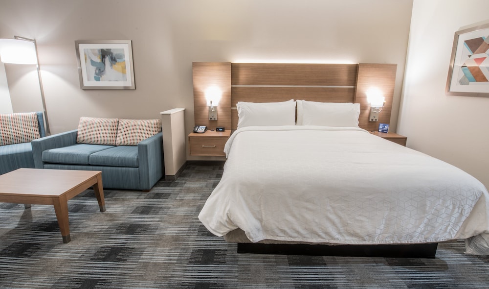 Holiday Inn Express and Suites Houston Westchase - Westheimer 23/59