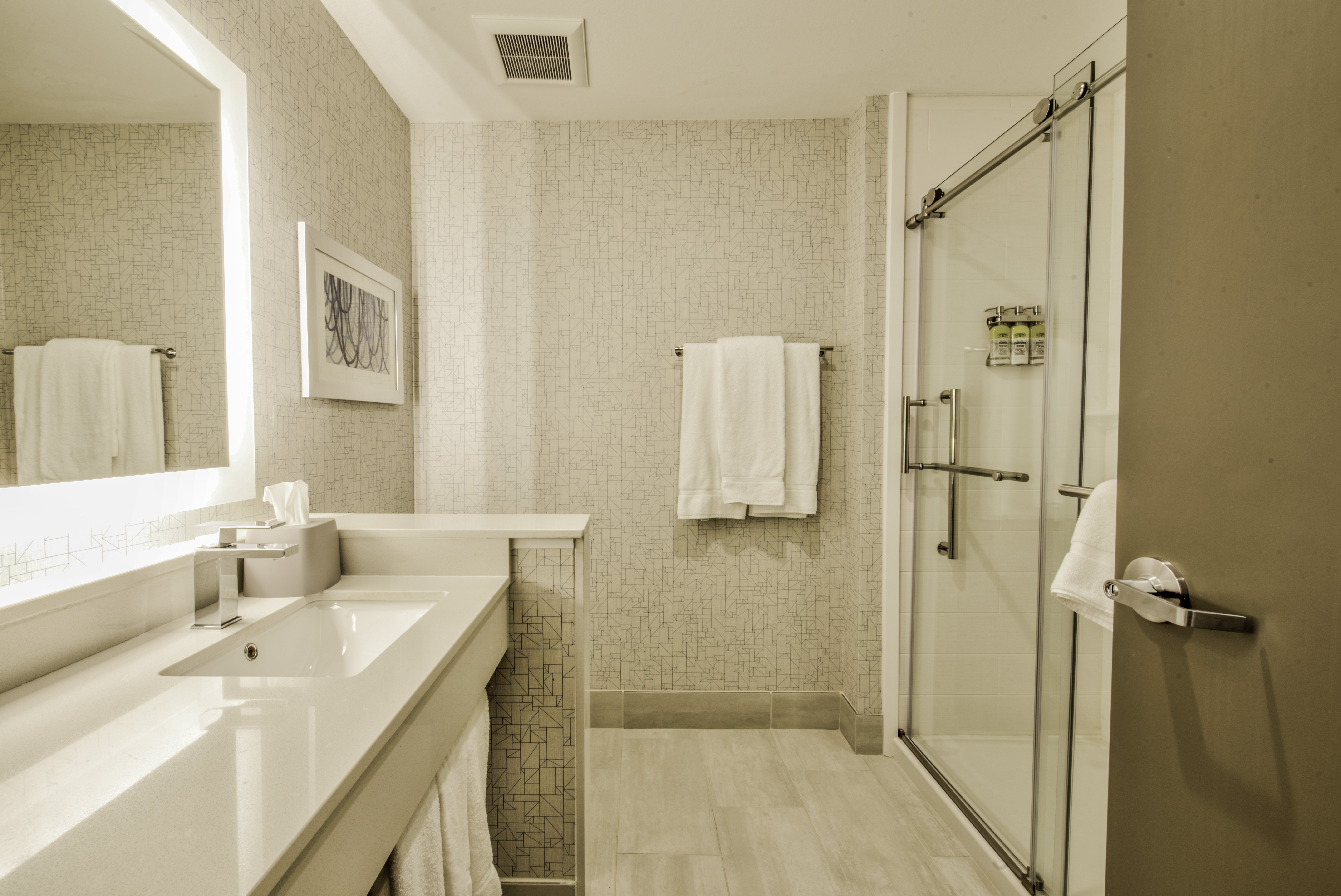 Holiday Inn Express Suites Farmers Branch 66/70
