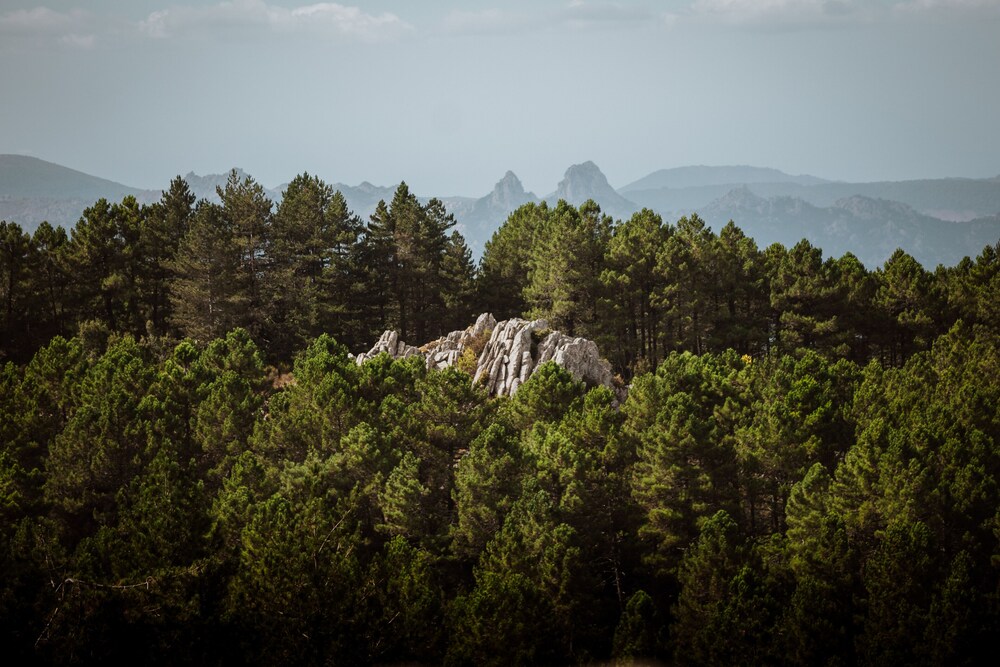 Vallicciola Nature Hotel 38/50