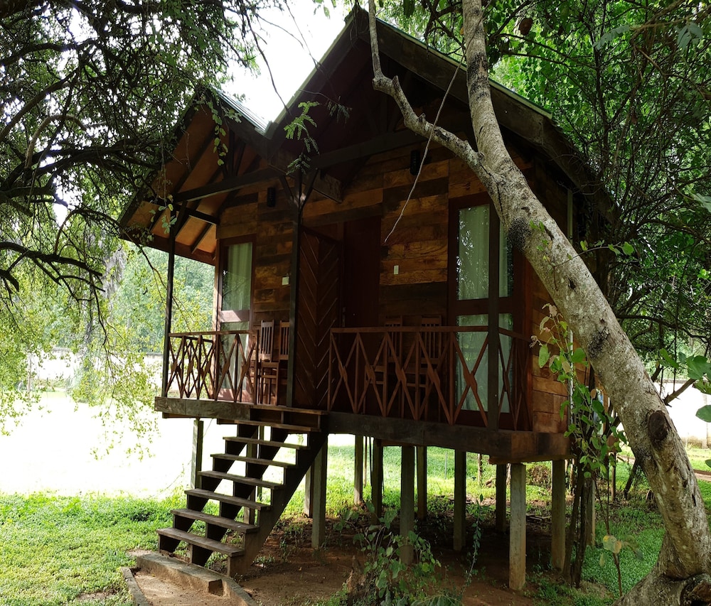 Eighth Wonder Resort 3/50