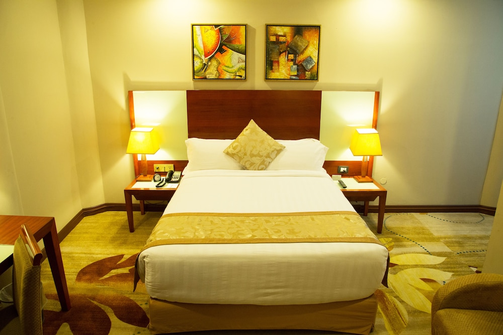 Jupiter International Hotel Bole 17/40