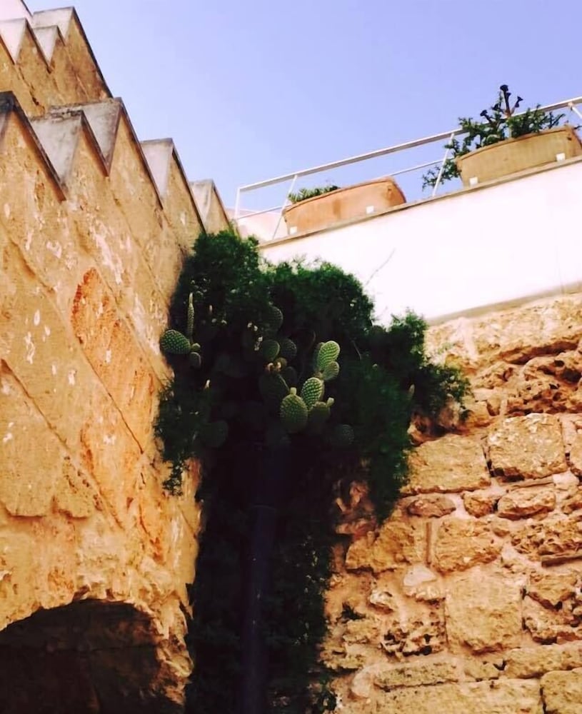 Corte Dei Nonni 16/19