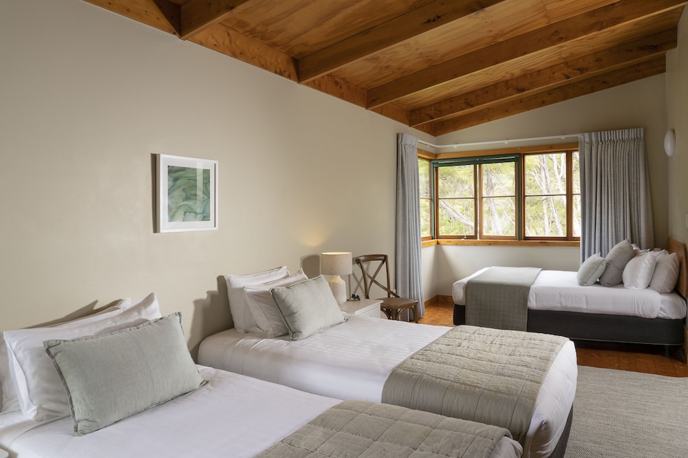 Awaroa Lodge 6/50