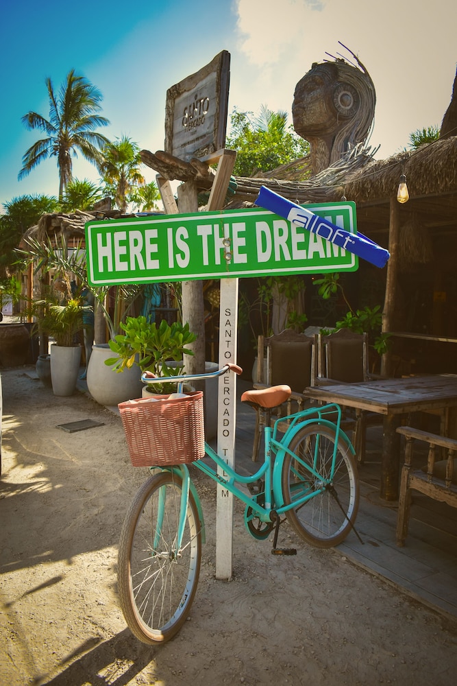 Aloft Tulum 41/50