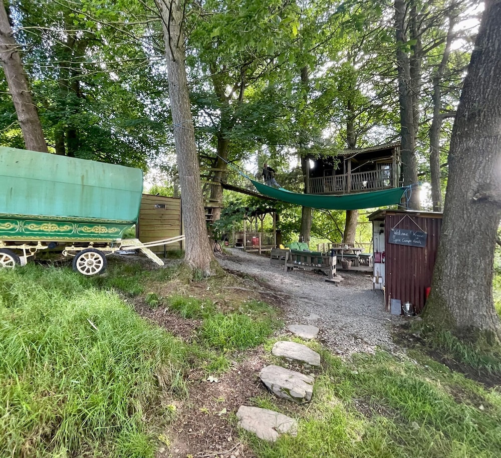 Owl Lodge 39/50