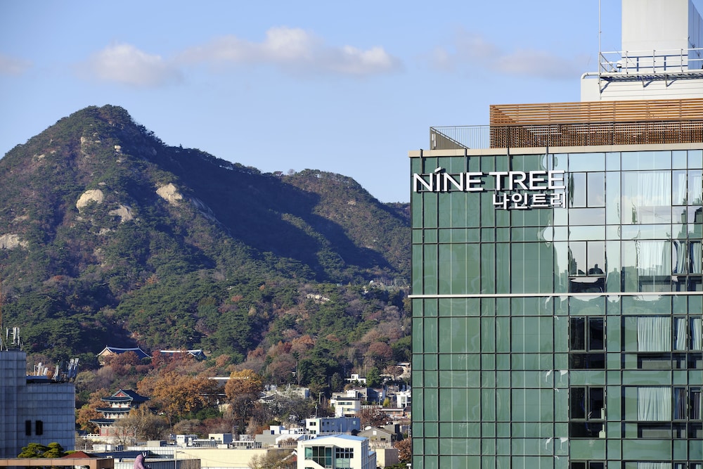 Nine Tree by Parnas Seoul Insadong 1/70