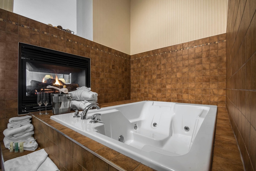 Comfort Inn & Suites Surrey 17/60