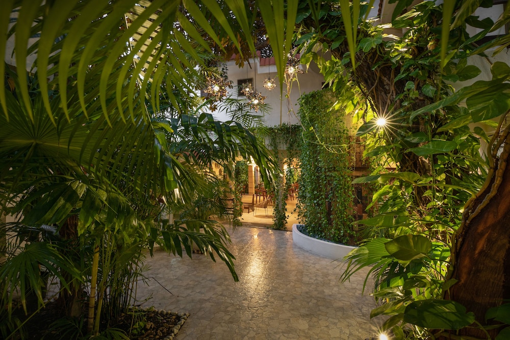 Hulku Playa Del Carmen 65/73
