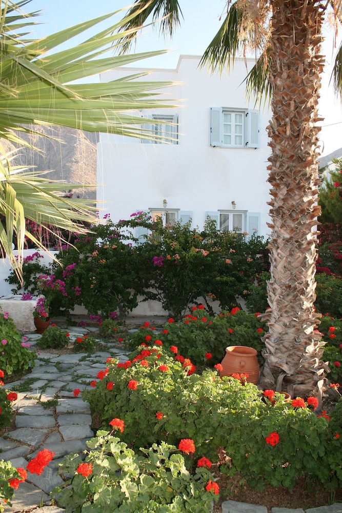 Zorzis Hotel 44/50