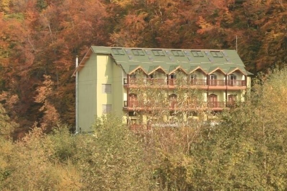 Ezio Brasov 17/30