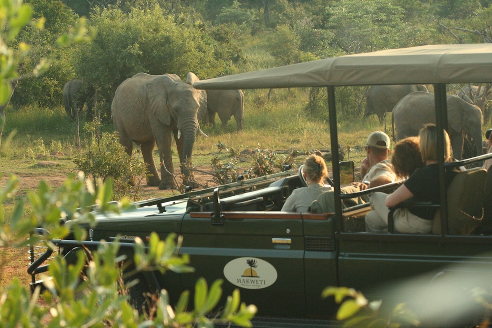 Makweti Safari Lodge 30/37